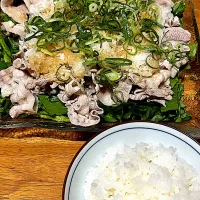 NEWジャーで炊いた備蓄米で！ #夕飯　ぶた冷しゃぶ、備蓄米|ms903さん