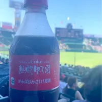 熱闘甲子園🎵|シャビーちゃんさん