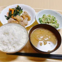 昨日の夜|まめさん