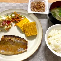 塩鯖・ポテサラ・とうもろこし・ごま和え・お味噌/250808
