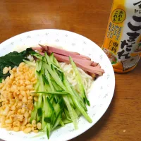 冷やしたぬきうどん