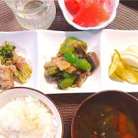 なす味噌炒めが食べたかった| ゆうかさんさん