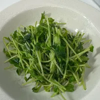 豆苗炒め|miyuさん