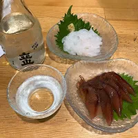 白えびの刺身、ほたるいかの沖漬け、立山（実況中継中）| なびさん