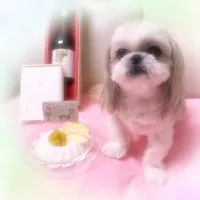 やぎミルクのお誕生日ケーキ🎂|プクママさん