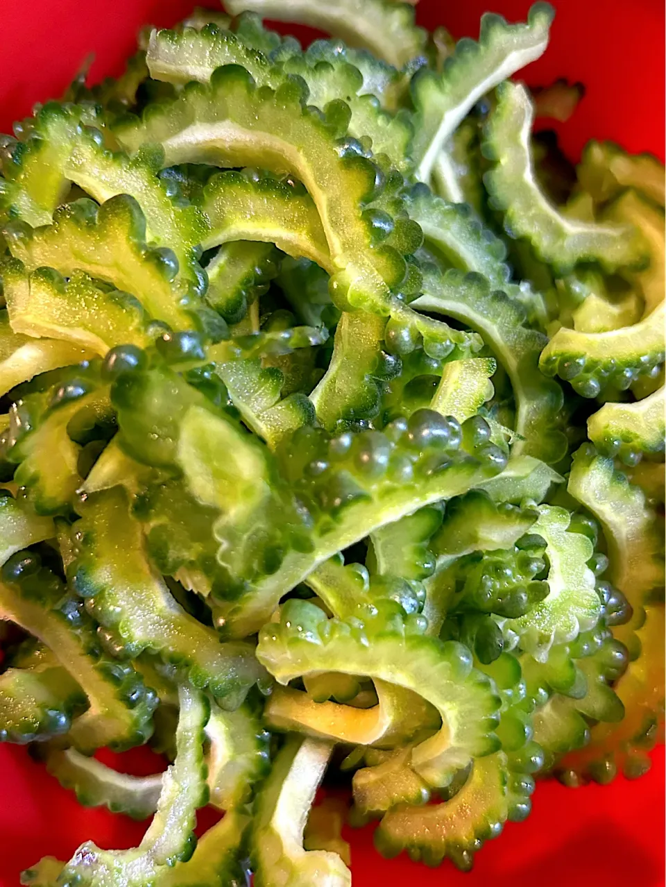 ゴーヤをどっさりもらったので|tamiさん