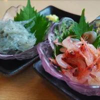 桜えびと生しらす|kamekameさん