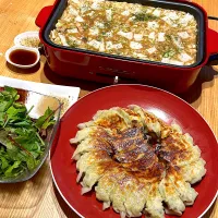 8/10の夕食　餃子・もんじゃ焼き・サラダ|ハミルトンさん
