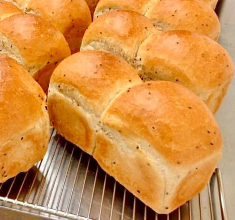 「Pain de mie」
自家製酵母のパンドミー
サンドイッチにして
朝ごはん🍞
思ったよりも
カマ伸びしてないのは ご愛嬌|ばくあんしゃさん