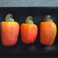 カシューアップル