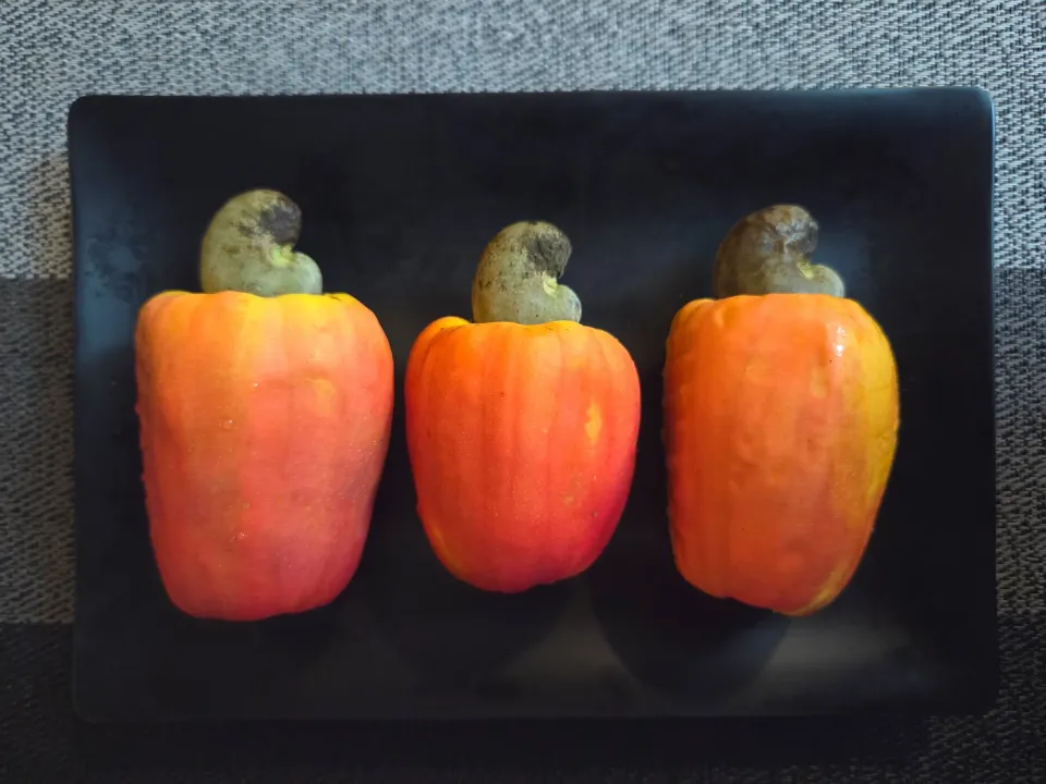 カシューアップル|Tomoさん