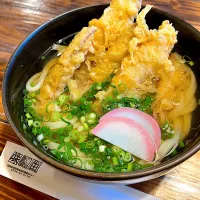 ごぼう天うどん◥█̆̈◤࿉∥|ナナさん