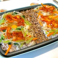 ビビンバ！　びびびんば！|takeharuさん