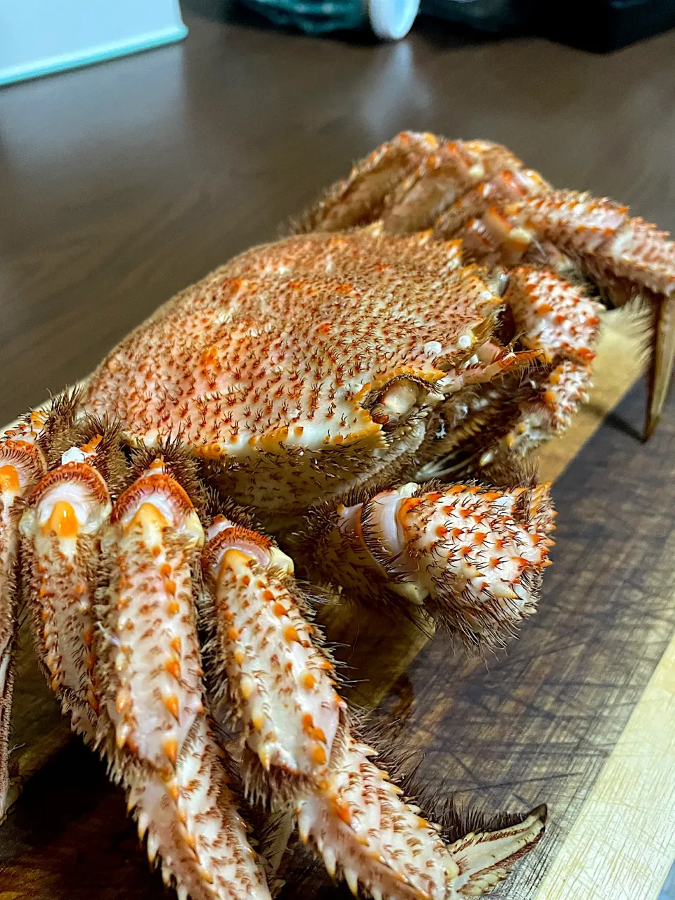 毛蟹|Naotake Yosimuraさん