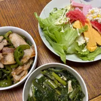 夕飯|ミカさん