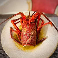 伊勢海老の味噌汁🦞