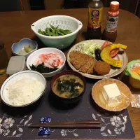 ご飯、ローストンカツ&コロッケ,なすとかぼちゃの素揚げ、トマト,千切りキャベツ、酢の物、冷奴、枝豆、味噌汁、烏龍茶、市販のフルーツゼリー(夕飯)|enarinさん