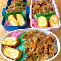 肉炒め弁当|たまさん