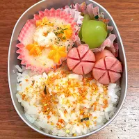 幼稚園年少お弁当|Saori.Tさん