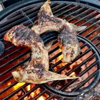 Grilled yellowtail collar with mixed spices|gonbenさん