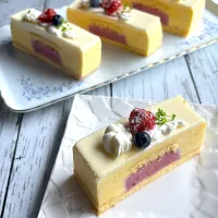 とんちんさんの料理 ホワイトチョコレートムースケーキ🫐|とんちんさん