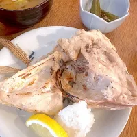 |gonさん
