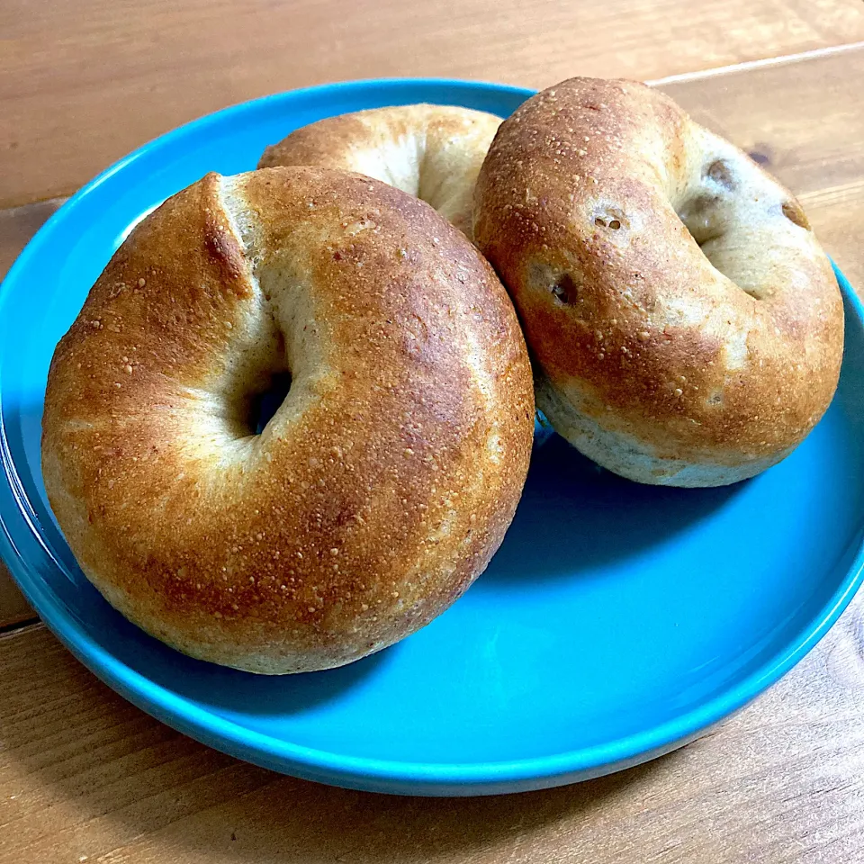 ベーグル🥯|ましてさん