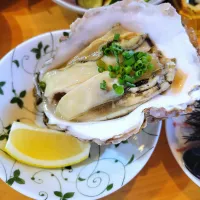 岩牡蠣|まめすけさん