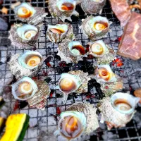 サザエ焼き|藤田 まり子さん