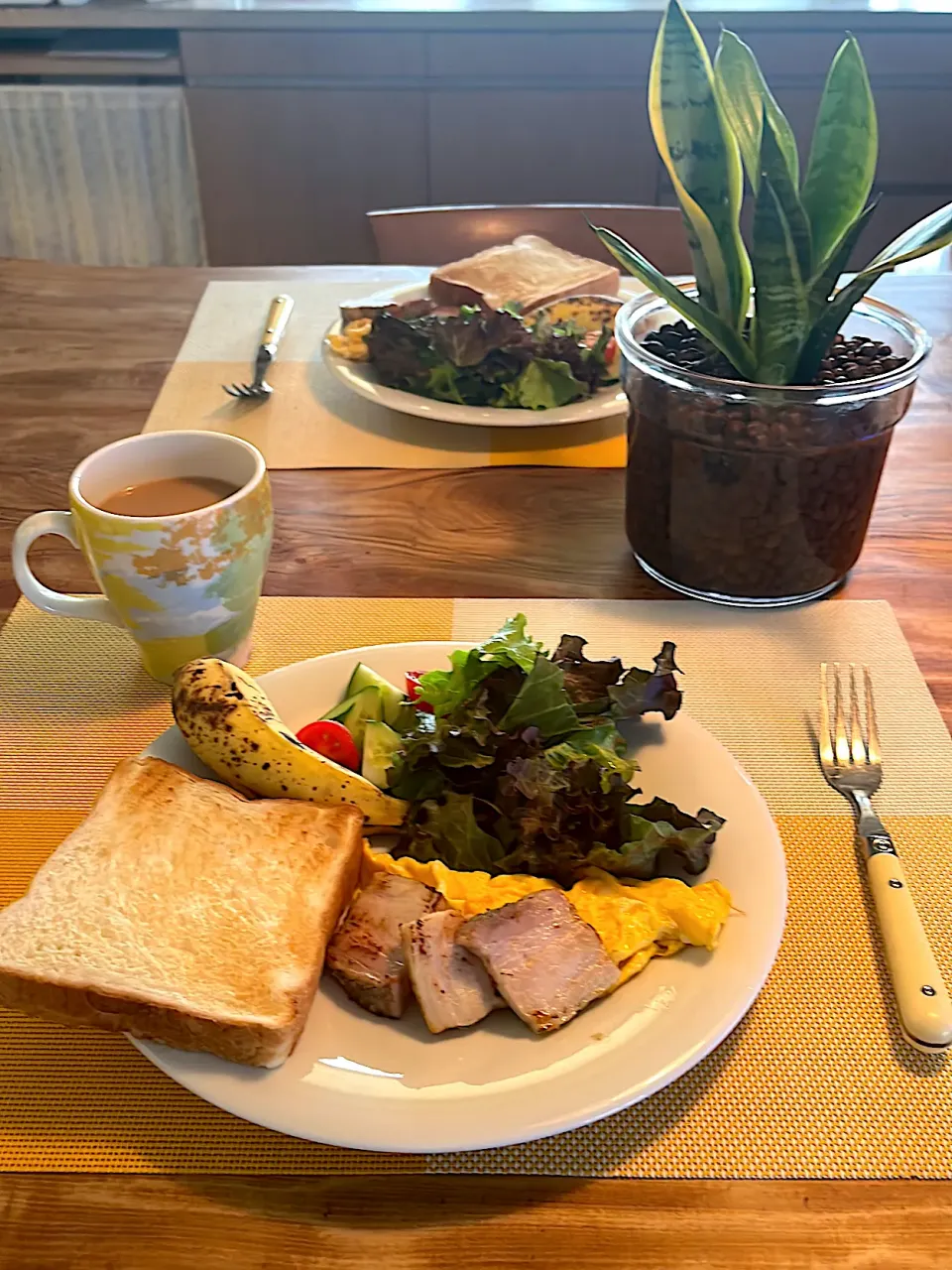 ローゼルさんちの朝ごはん　2025・8・13|ローゼルさん