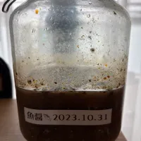 自家製魚醤(◍•ڡ•◍)❤|いつみさん