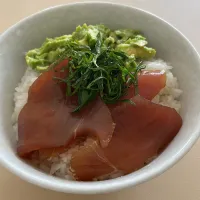 マグロアボカド丼|たけさん