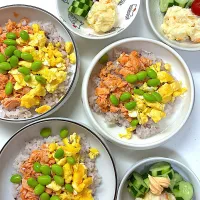 鮭ほぐし3色ご飯|さとう かおりさん