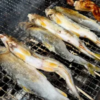 鮎の塩焼き