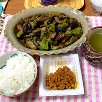 茄子と万願寺とうがらしとゴーヤの味噌炒め|みんみんさん