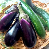 お野菜いただきました～| まなまな♡さん
