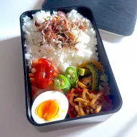 今日の地味弁　25.8.14|aru_sakazakさん