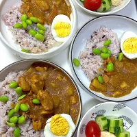 チキンカレー| さとう かおりさん