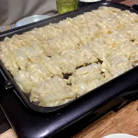 息子が帰省　新調したホットプレートで餃子です|renharuruさん
