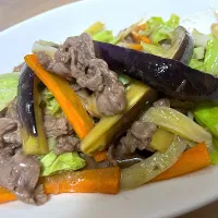 茄子と牛肉のトロット炒め|もーやんさん