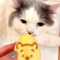 お土産のくまのプーさん🍯|lalapoさん