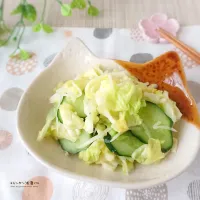 春キャベツときゅうりのカンタン浅漬け|ゆずぽんさん
