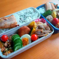 次男・私弁当| tamagomagomagoさん