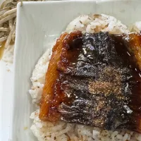名古屋、三河のうなぎランチ|🐧ペンギン2さん