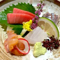 8月14日・［お寿司のコース🍣］②普通のお刺身😋✨