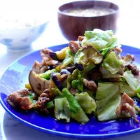 肉野菜炒め|cocoaさん