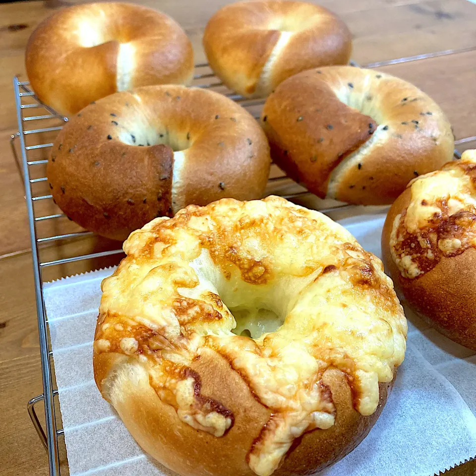 ベーグル　チーズ・ごま・プレーン|ましてさん