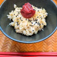 玄米ごはん|後藤妙子さん