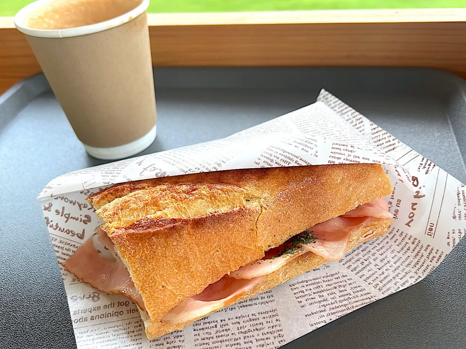 パニーニ|Sachyさん