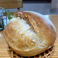 自家製酵母　ライ麦配合カンパーニュ